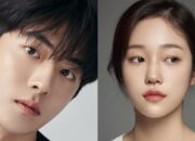 Nam Joo Hyuk dan Roh Yoon Seo Diincar Bintangi Drama Fantasi Baru