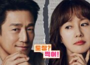 Sinopsis Drama ‘Romance in the House’, Dibintangi Ji Jin Hee hingga Minho SHINee